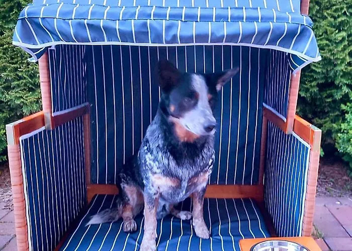 別荘 Friesendroeoem